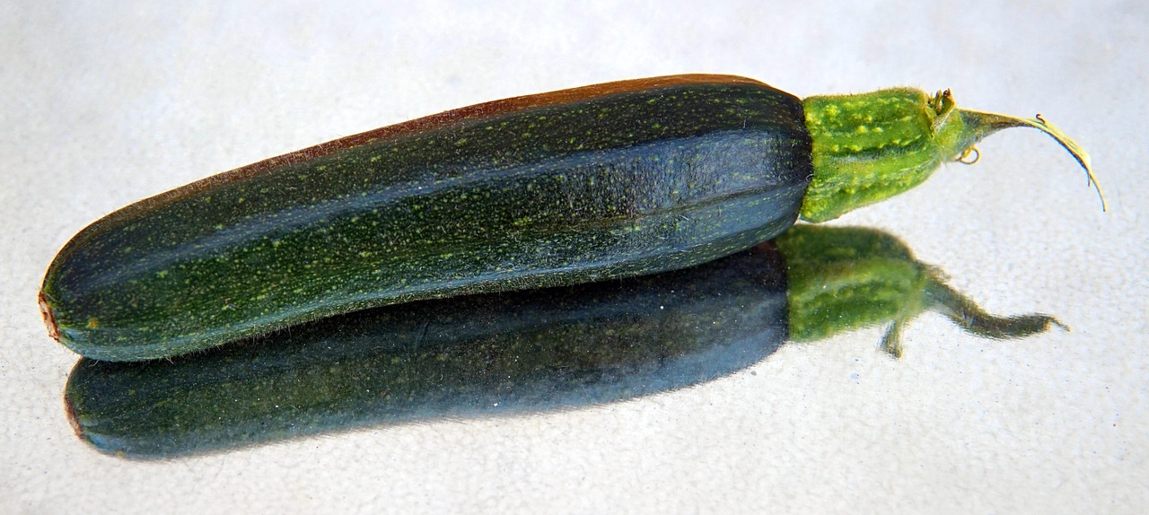 Zucchine grigliate dorate su un piatto, pronte da gustare con erbe fresche.