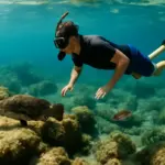 Snorkeling a Sfinalicchio: quali fondali esplorare per vedere la fauna marina più rara?